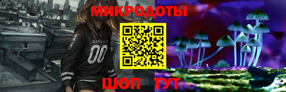 Псилоцибиновые грибы Psilocybine cubensis Великий Новгород